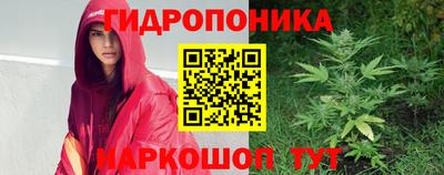 экстази Кингисепп