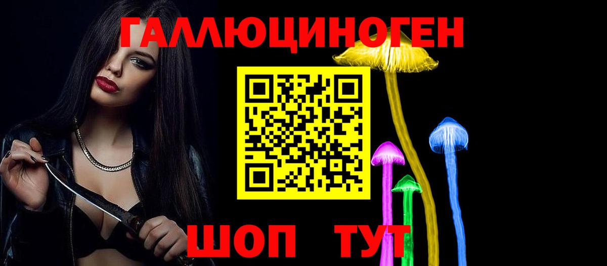 Галлюциногенные грибы MAGIC MUSHROOMS  Вход с VPN  Королёв 